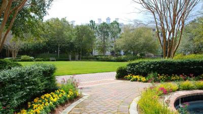 Lush garden with a paved path, flowers, and trees with a building in the background.
