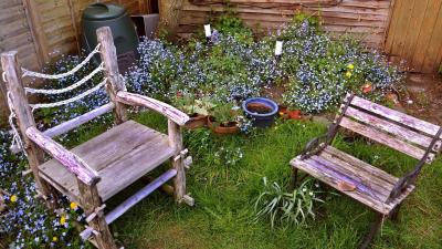 Two wooden chairs in a garden with flowers and plants.