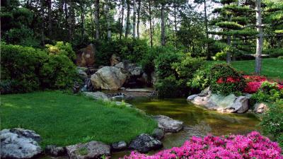 Garden with a small pond, rocks, and pink flowers surrounded by trees.
