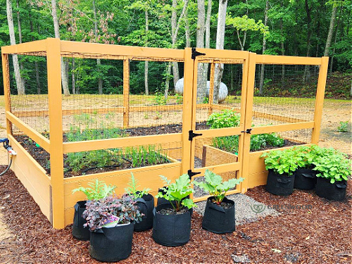 enclosed raised bed garden for disabilities and to keep wildlife out