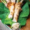 Horseradish Armoracia rusticana